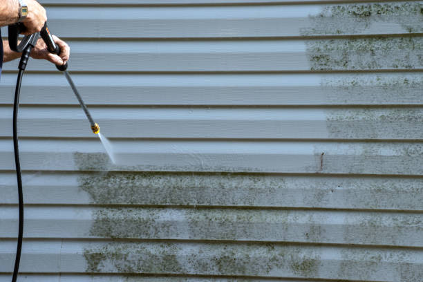 Best Garage Cleanout  in University City, MO