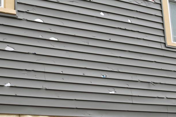 Best Same-Day Junk Removal Services  in University City, MO