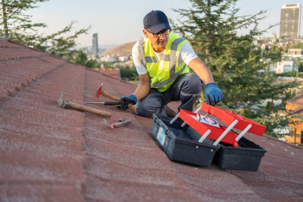 Best Carpet Removal and Disposal  in University City, MO